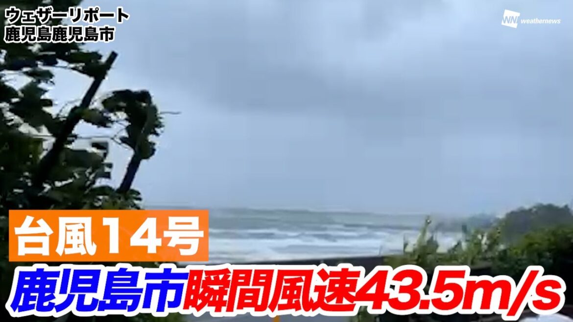 【台風14号】鹿児島市、最大瞬間風速43.5m/s