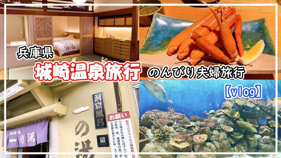 【城崎温泉】夫婦でまったり食べ歩き・外湯巡り旅行♪【vlog】
