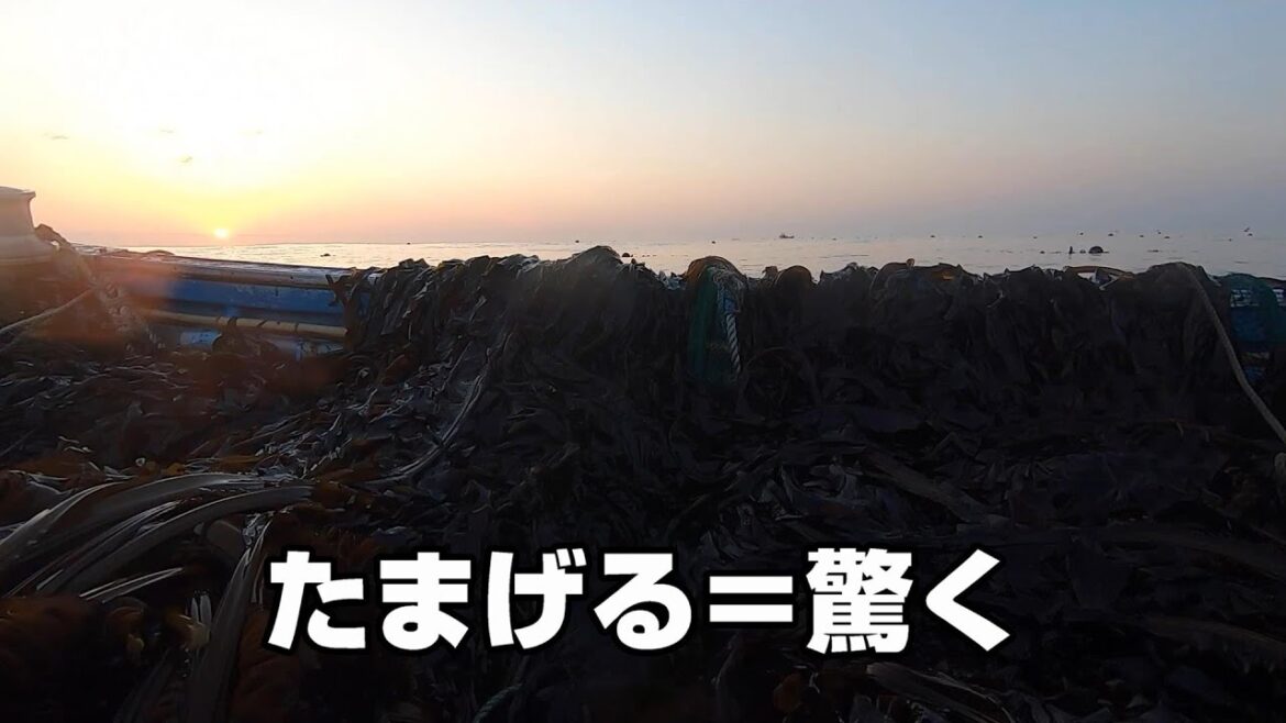【宮城県】地震の翌日