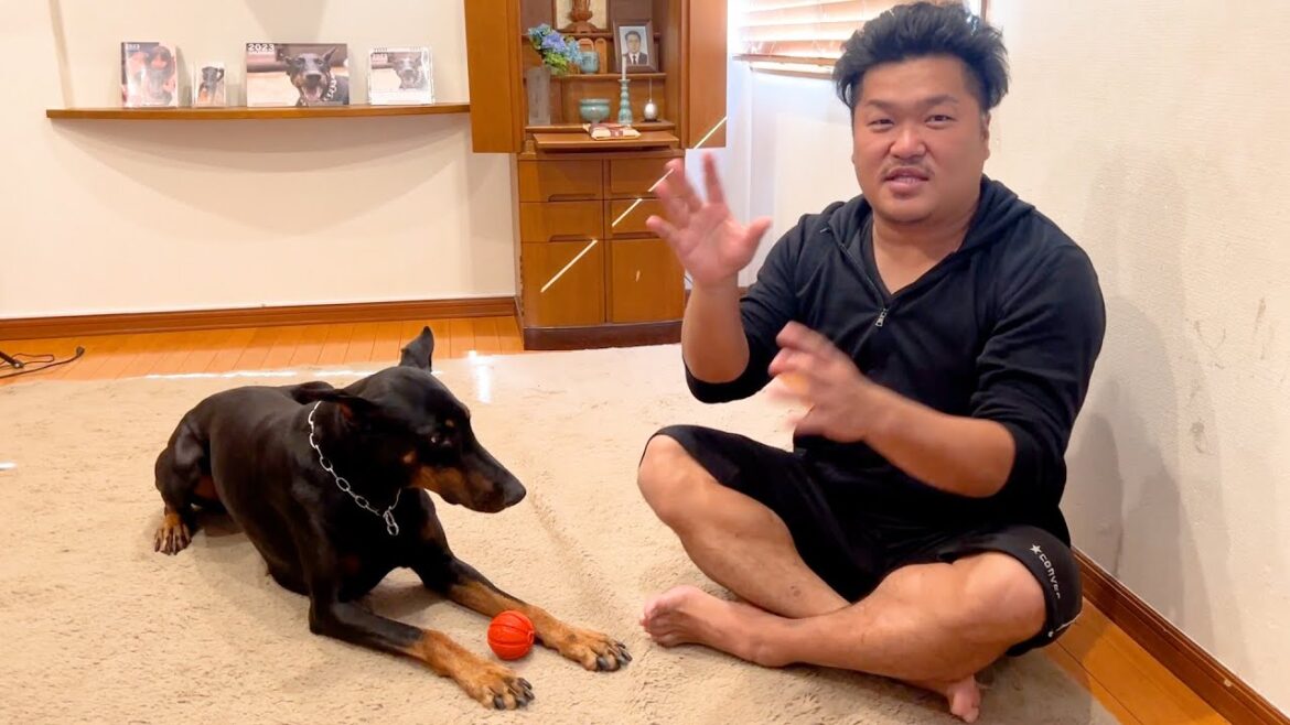 【批判殺到】小田急線で柴犬を捕獲した駅員さんの対応について
