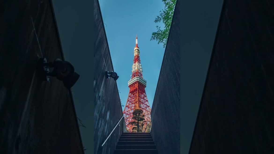 【東京タワー/Tokyo Tower】定番撮影スポット！タワーに向かう途中の坂道にある駐車場の階段から撮影できます #Shorts