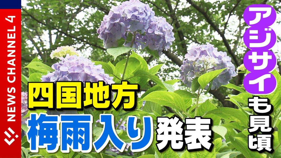 【梅雨入り】四国地方で梅雨入り発表＜NEWS CH.4＞