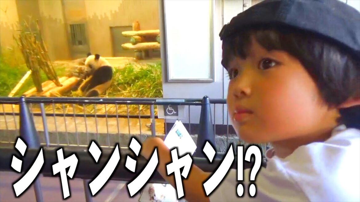【激混み!?】都民の日に上野動物園が無料だったので、バイトに変わって収入が半分以下になったパパはここぞと言わんばかりに息子とパンダに逢いに行く