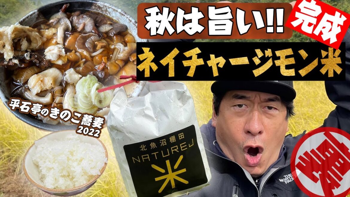 【秋は旨い】秋の旨いものを食べるとウザさがマシマシのジモン。念願のネイチャージモン米が完成。で、さらにウザさ倍増。秋の平石亭も満喫。ホントどれだけ食に貪欲なんだ。