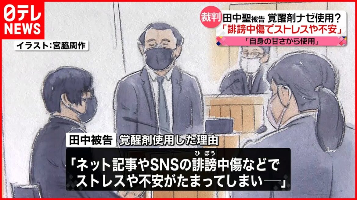 【裁判】田中聖被告｢誹謗中傷でストレスや不安がたまってしまった｣