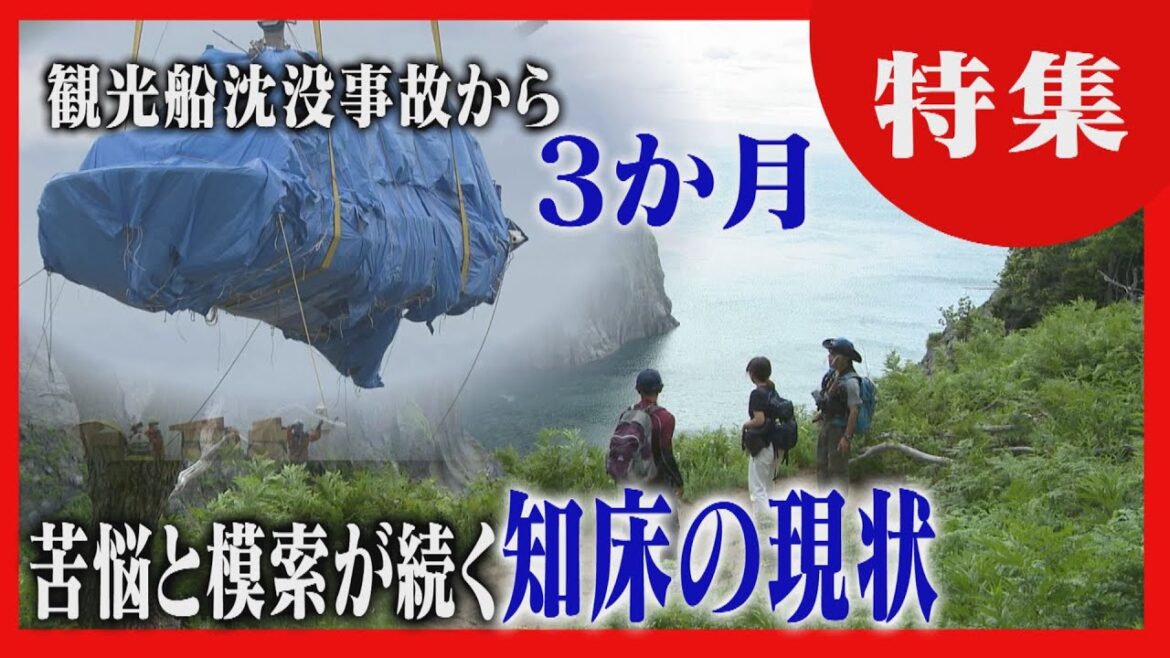【観光客は半減】手つかずの自然が残る知床　観光船事故から３か月　苦悩と模索が続く