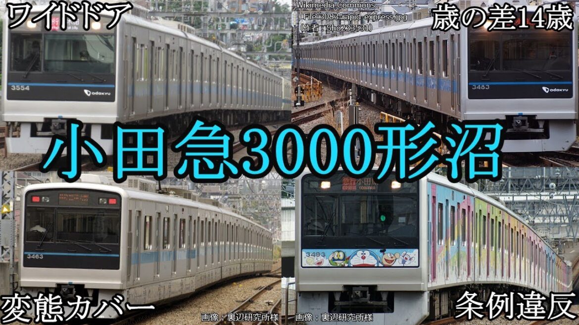 【迷列車で行こう】＃11 小田急最多勢力「3000形」の「沼」に迫る！