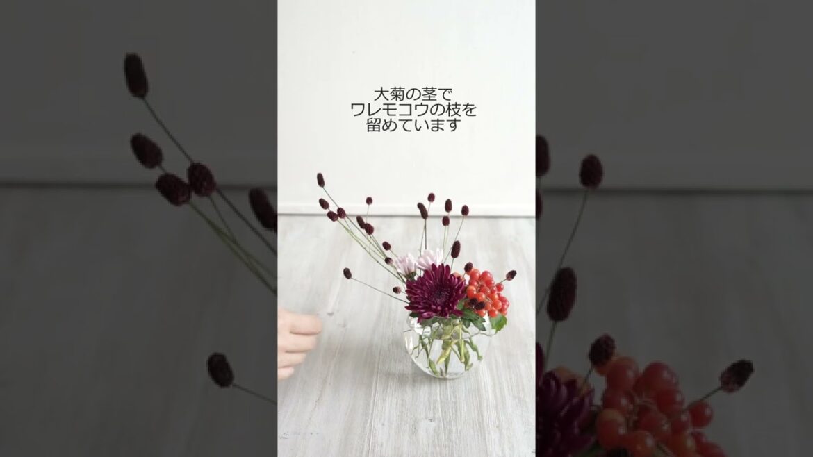 【９月９日重陽②】片口酒器に小さい秋を活けました  Fall is around the corner. #Shorts