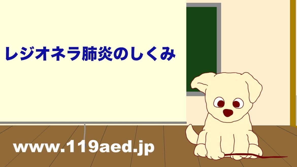 【40】レジオネラ肺炎のしくみ