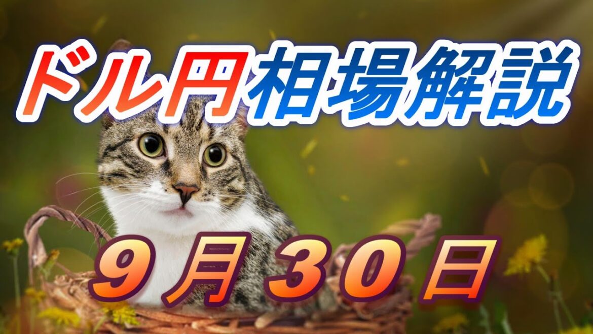 【TAKA FX】ドル円為替相場の前日の動きをチャートから解説。日経平均、NYダウ、金チャートも。9月30日