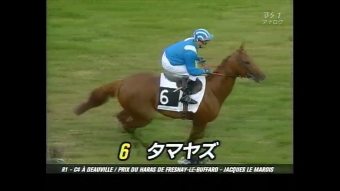 ジャックルマロワ賞　タマヤズ　2008.8.17