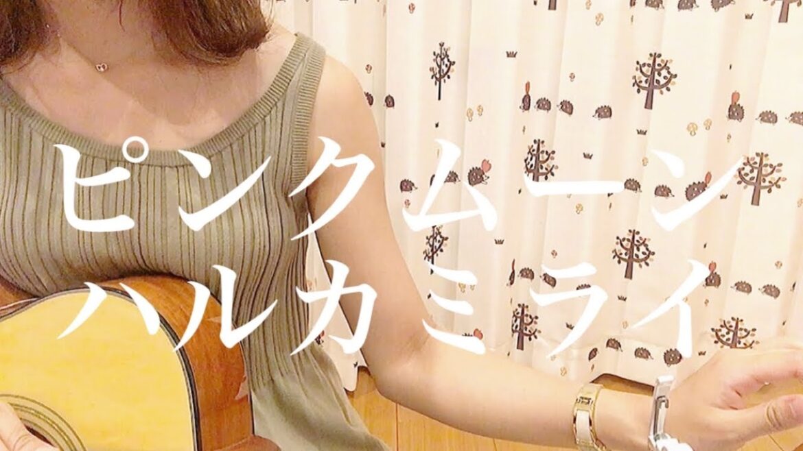 ピンクムーン ハルカミライ 【ギター弾き語りcover】