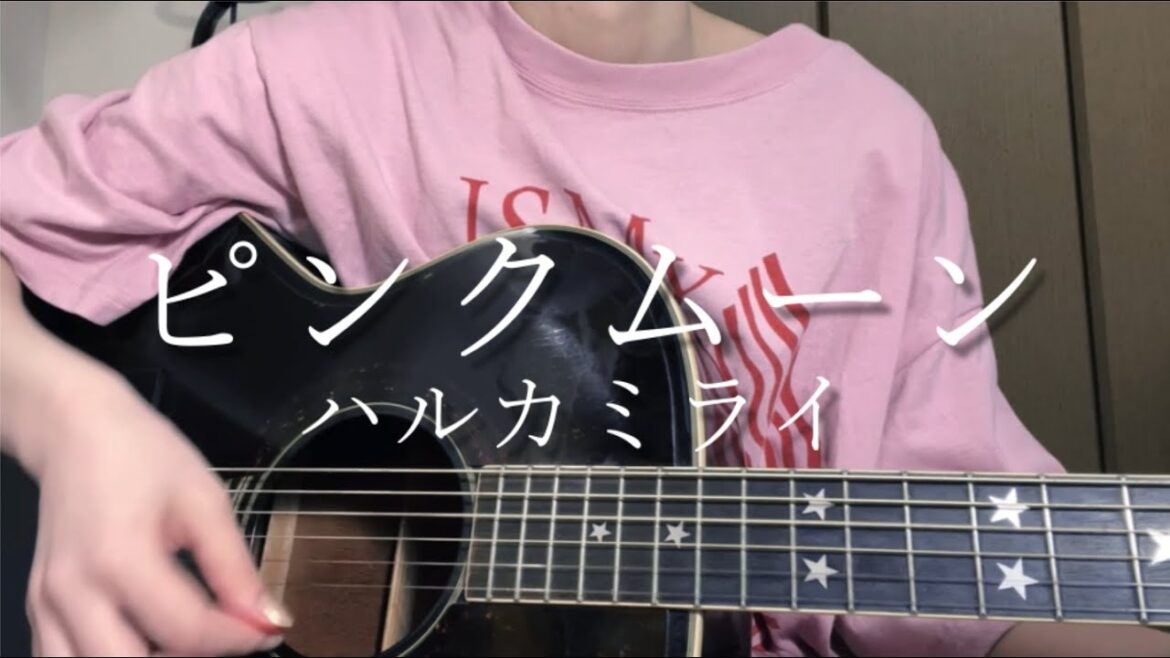ピンクムーン / ハルカミライ【弾き語りカバー】