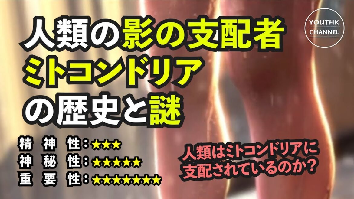 ミトコンドリアの歴史と謎。