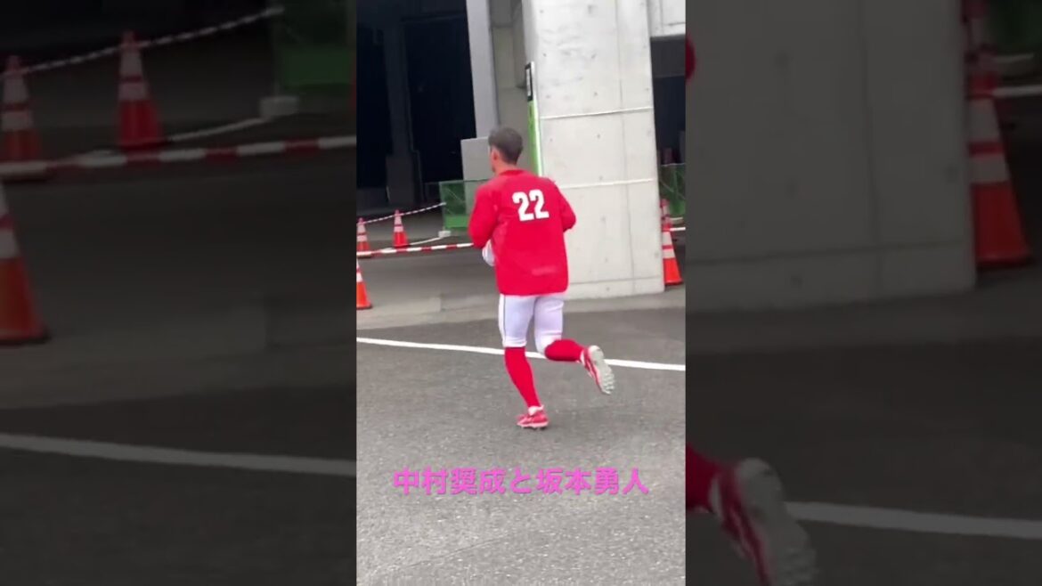 中村奨成と坂本勇人