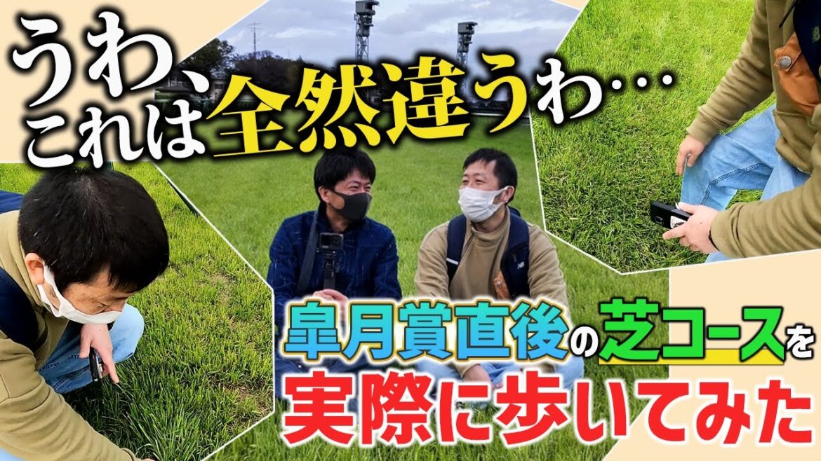 出資馬イクイノックスが負けた皐月賞後の中山競馬場芝コースを実際に歩いてみて感じたトラックバイアスを語ろう【節約大全】Vol.755