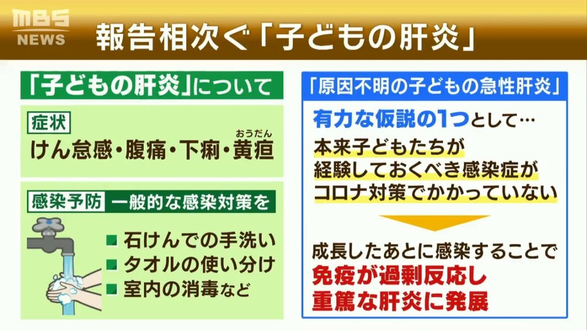 原因不明の『子どもの急性肝炎』どんな症状？感染予防はどうしたら？「アデノウイルス」と関連のウイルスが関係か...専門家が解説(2022年7月28日)