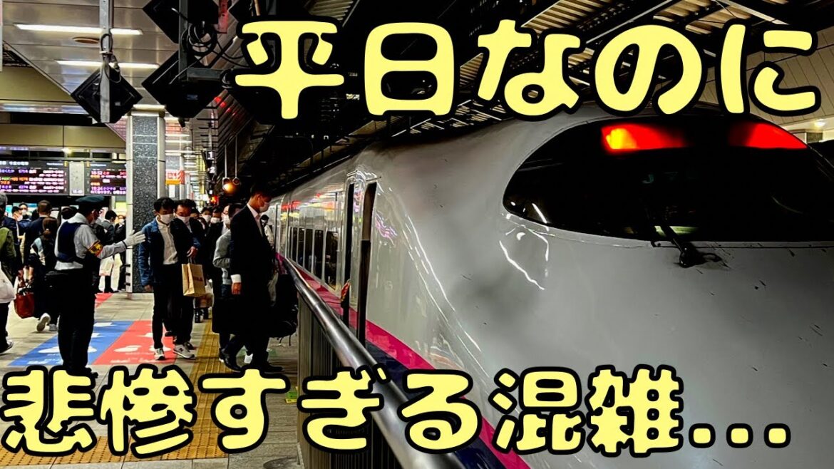 地獄のような混雑の新幹線、、これはヤバいわ。。東京→新潟