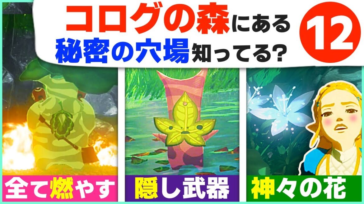 [小ネタ] 隠し要素の宝庫！コログの森の細かすぎる裏ネタ１２選 [ゼルダの伝説 ブレスオブザワイルド]