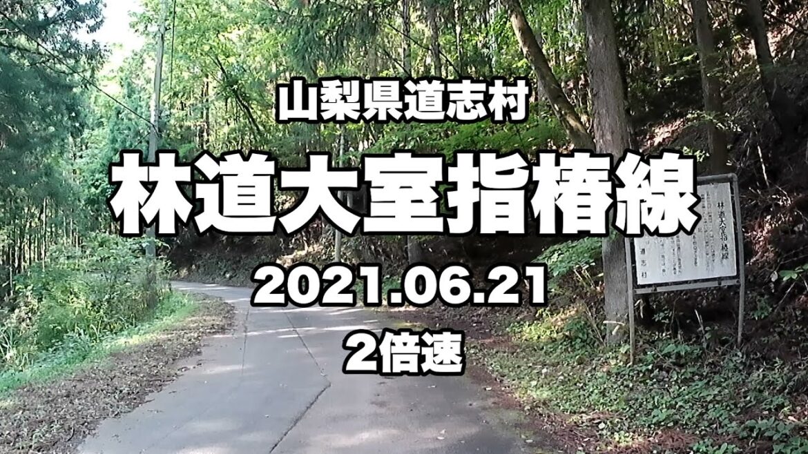 山梨県道志村 林道大室指椿線 ノーカット 2倍速【林道】【走行動画】