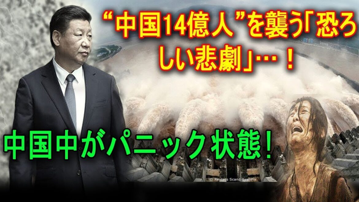 最新ニュース 2022年10月17日
