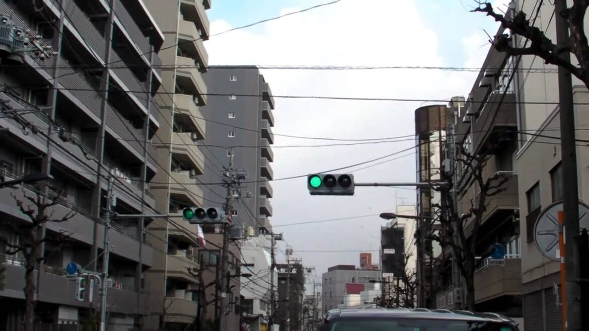 東日本大震災 東北地方太平洋沖地震 瞬間 2011.3.11 Japan Earthquake moment