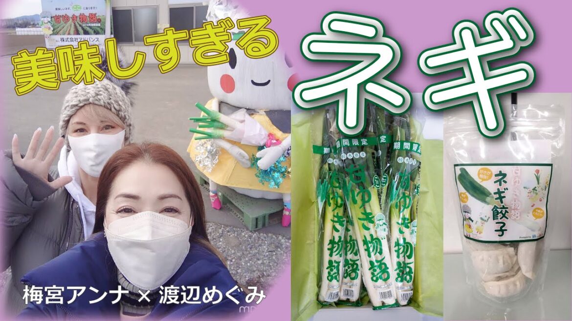 梅宮アンナちゃんと栃木県に大好きなおネギ『甘ゆき物語』の生産者さん（株）アドバンスさんを訪ねてみた。。。新発売の、餃子も登場するよ！