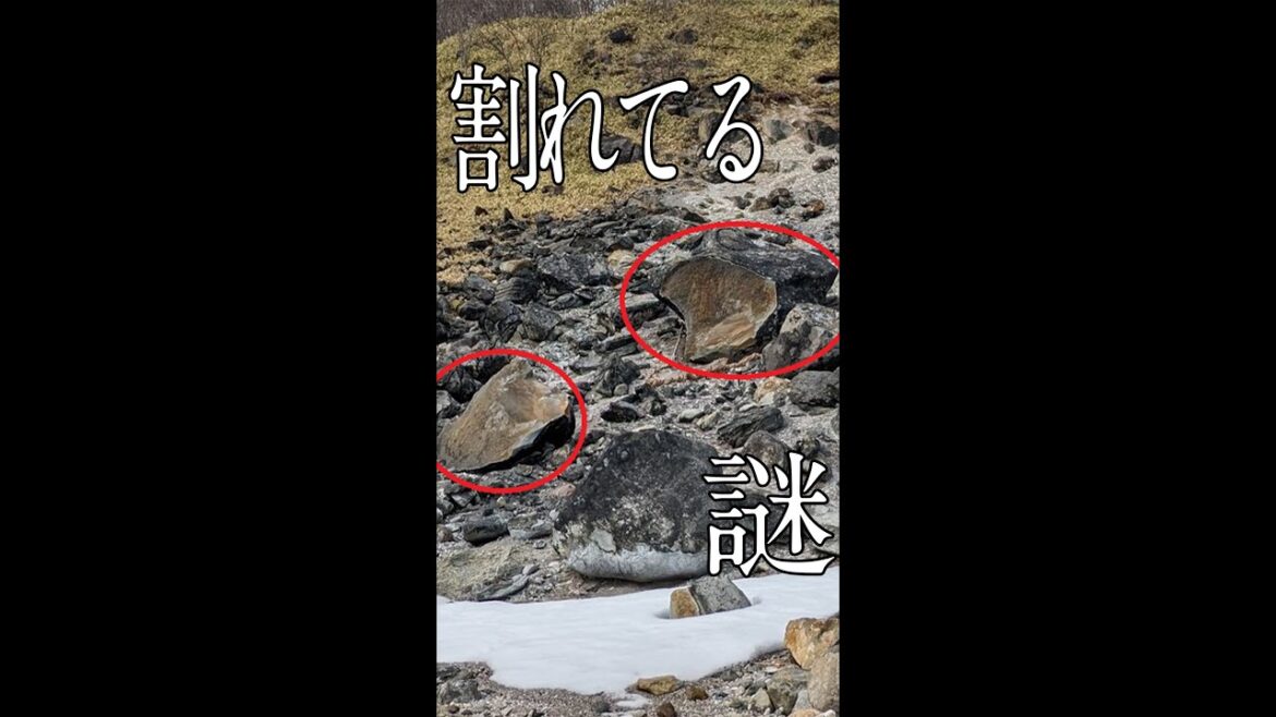 殺生石について調査してきた #Shorts 殺生石について調査してきた #Shorts