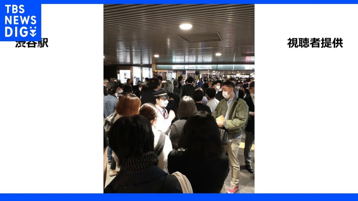田園都市線・全線で運転再開 停電から3時間以上経過…線路を歩いて誘導も｜TBS NEWS DIG