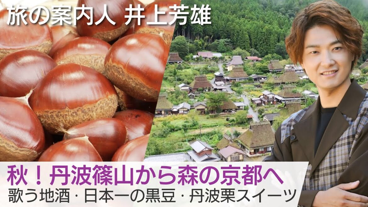 秋の美食満載！丹波地方を井上芳雄さんがご案内…かやぶき屋根の集落でグランピングも「美しい日本に出会う旅」10/19(水)よる9時