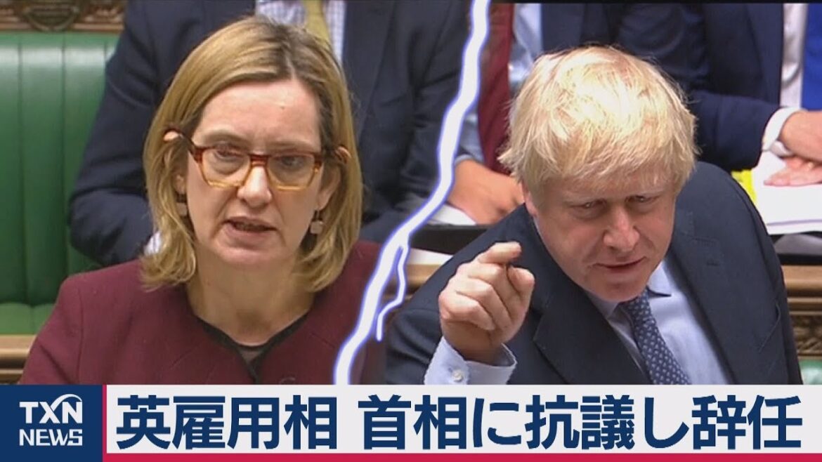 英ラッド雇用・年金相、首相に抗議で辞任
