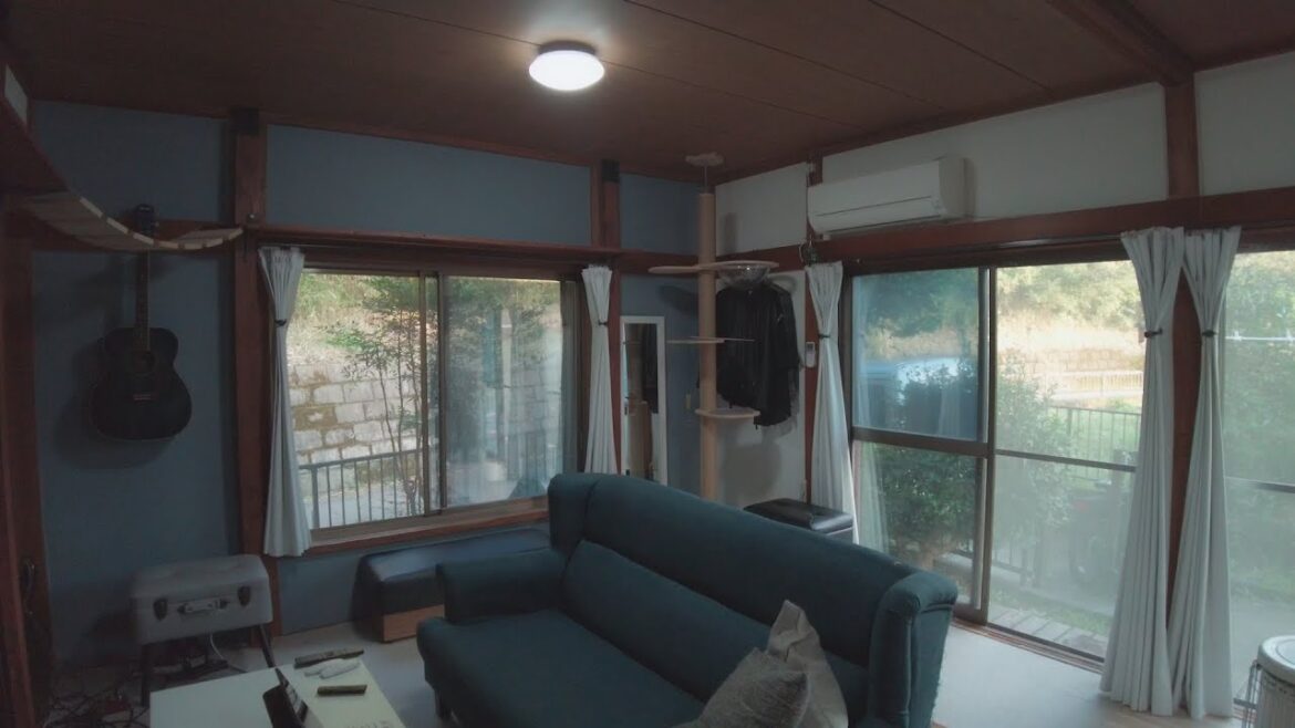 謎の停電のその後。外の鳴き声について。