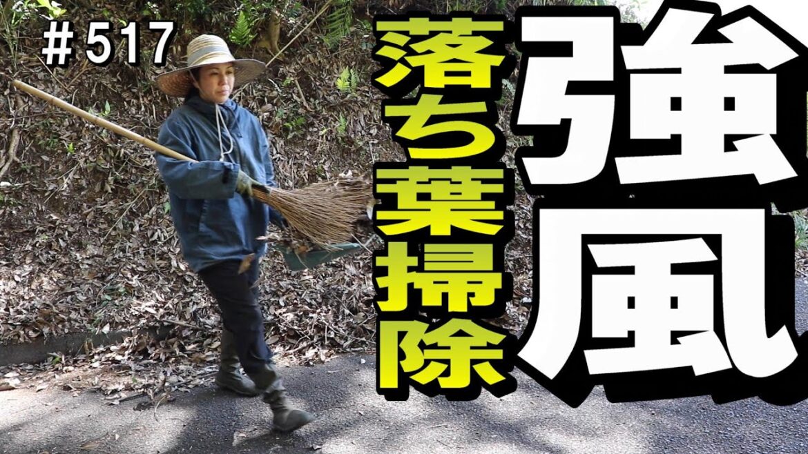道路沿いの落ち葉を強風の中竹箒で掃除したよ｜ボランティア活動