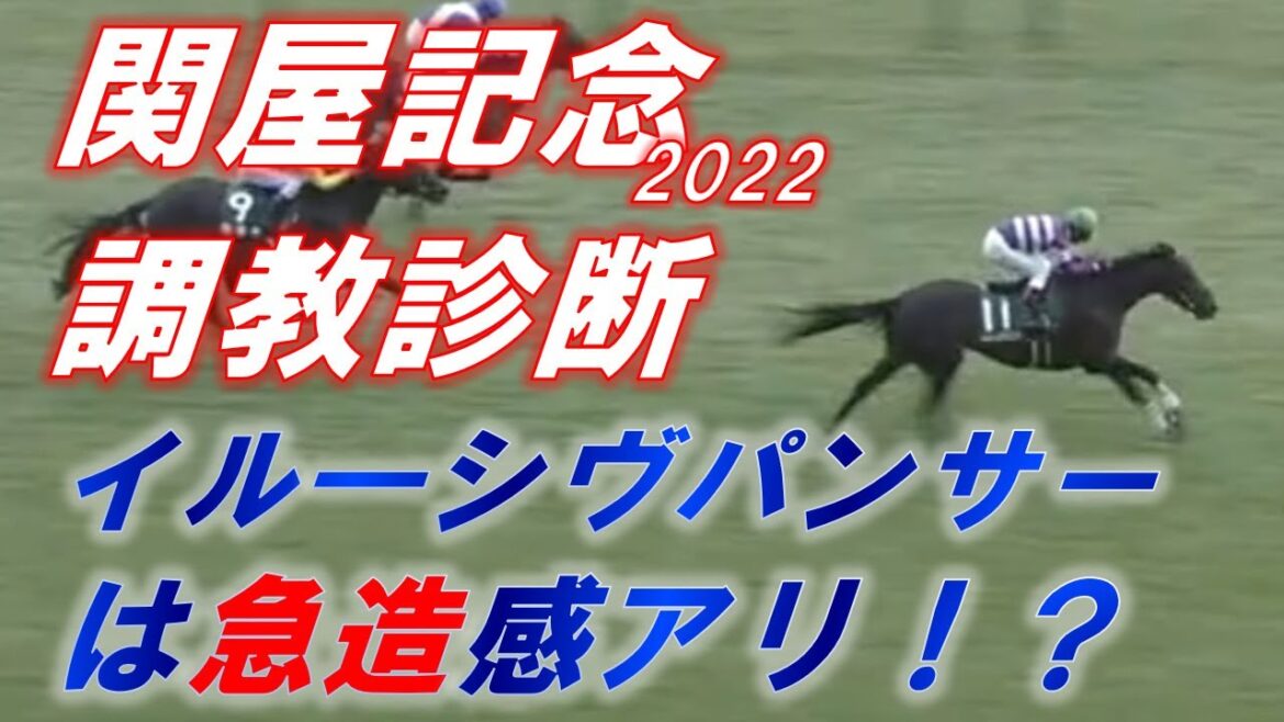 関屋記念2022　追い切り診断！！　イル―シヴパンサーは急造感アリ！？スカイグルーヴは抜群の動きだが…！？　元馬術選手のコラム【競馬】