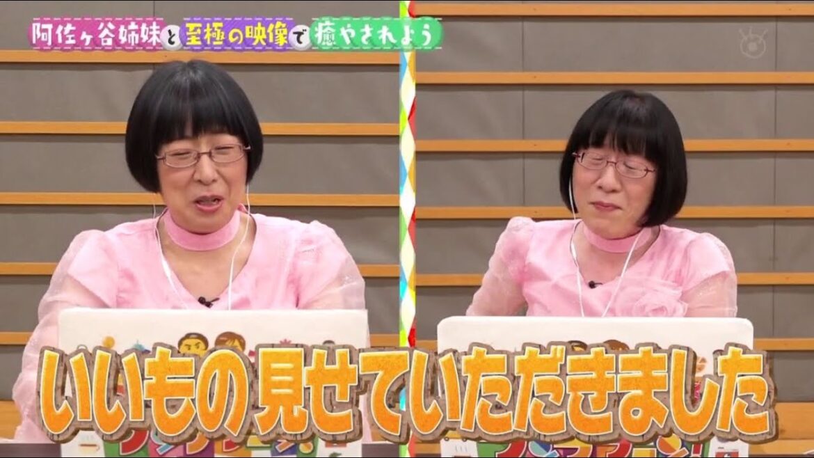 ＫｉｎＫｉ　Ｋｉｄｓのブンブブーン【阿佐ヶ谷姉妹と癒し動画特集！】