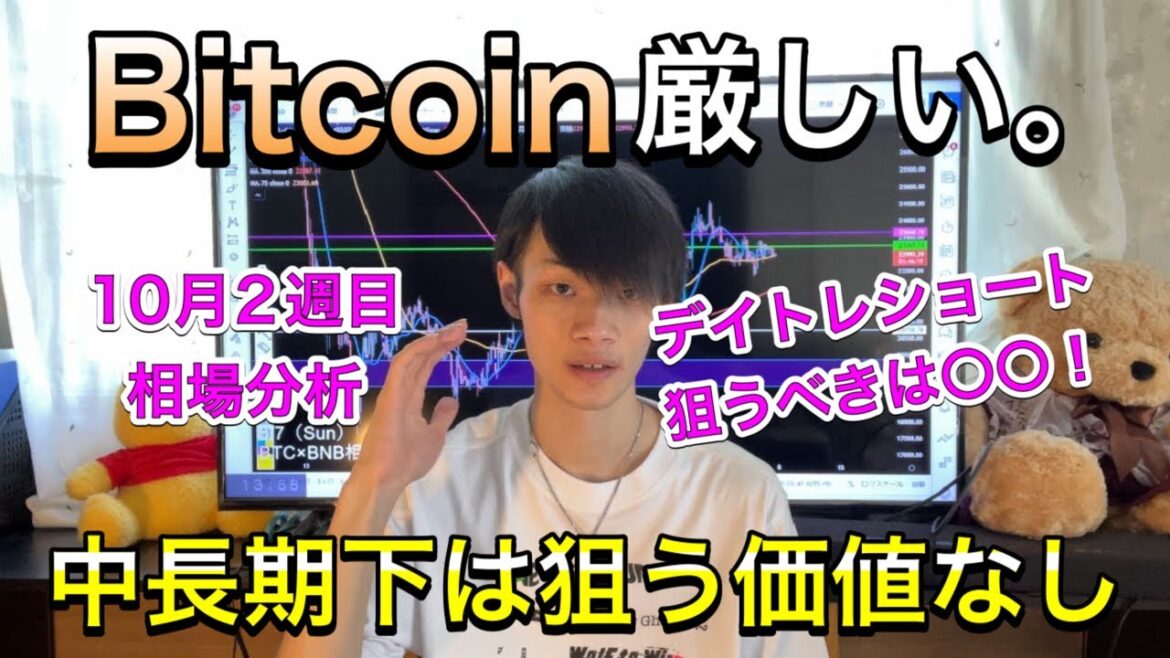 【厳しい展開です。】　ビットコイン中長期ショートは狙う価値無し。　【BTC相場分析】