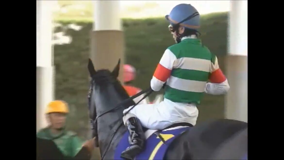 第65回 桜花賞 ラインクラフト 2005.4.10  '05 Oka Sho 第65回 桜花賞 ラインクラフト 2005.4.10  '05 Oka Sho