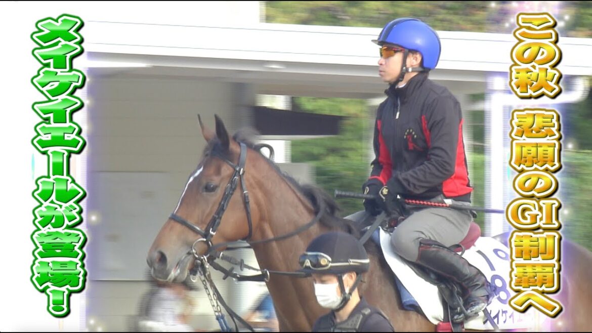 【セントウルステークス】悲願のG1制覇へ!池添謙一騎手&メイケイエールに直撃取材! 【セントウルステークス】悲願のG1制覇へ!池添謙一騎手&メイケイエールに直撃取材!