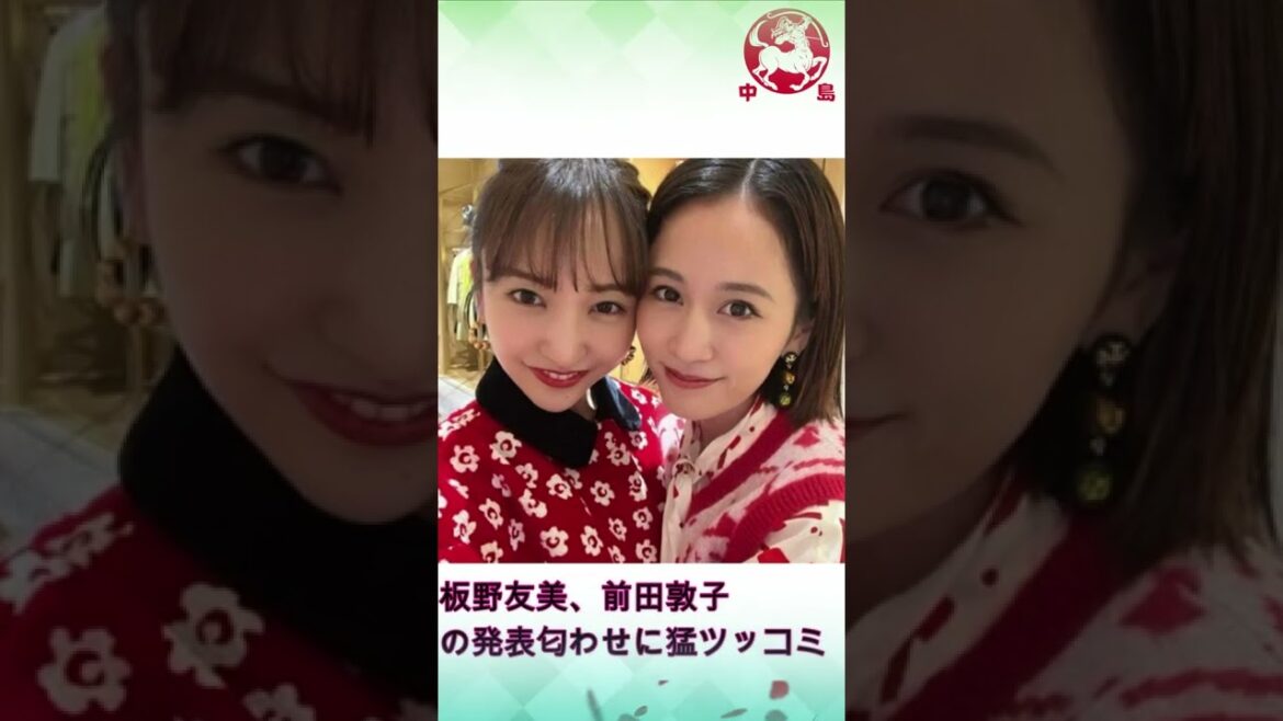 「なんでこの人が言うの？」#板野友美 #前田敦子#中島【芸能】#Shorts