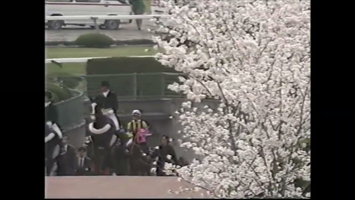 第60回　桜花賞　本馬場入場　2000.4.9