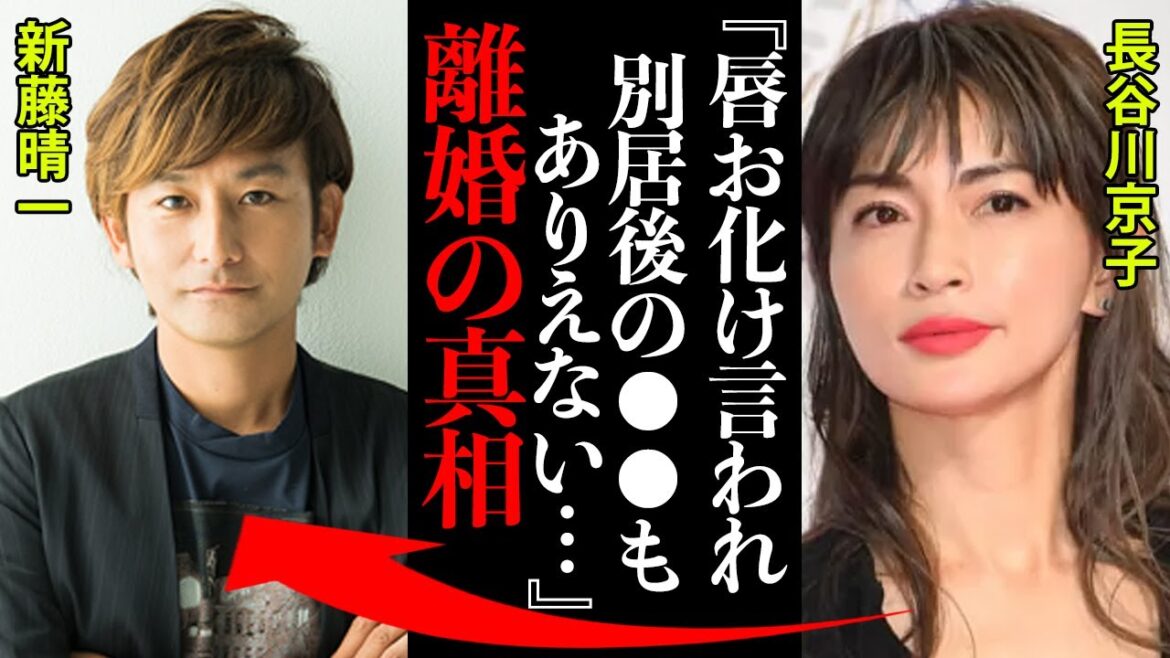 長谷川京子と新藤晴一の離婚の真相に度肝を抜かれた！『唇お化けと言われ...別居後も●●はありえない...』【ポルノグラフィティ】