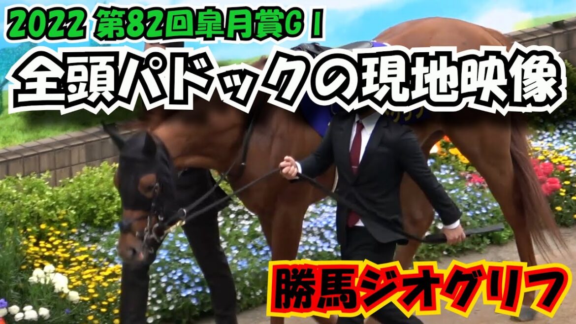 【皐月賞】2022 パドック 現地映像 ジオグリフ
