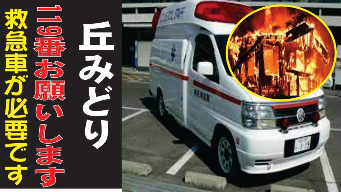 丘みどり、今現在の様子がヤバすぎる・・・