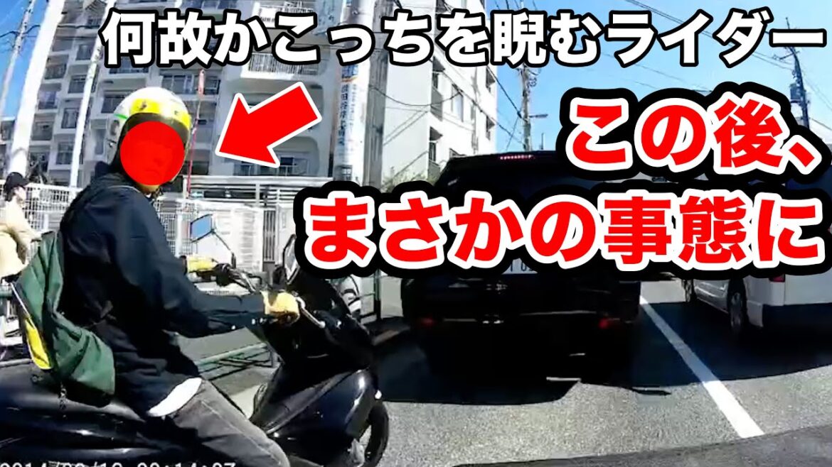 こちらを覗き込むライダー、この後まさかの事態に【閲覧注意】交通事故・危険運転 衝撃の瞬間【自動車 49】