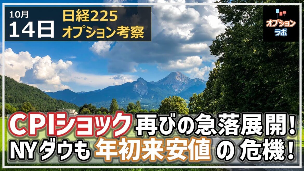 【日経225オプション考察】10/14 CPIショックの再来！ 26000円割れまで急落展開に！ SQ値は26000円前半の攻防か!?