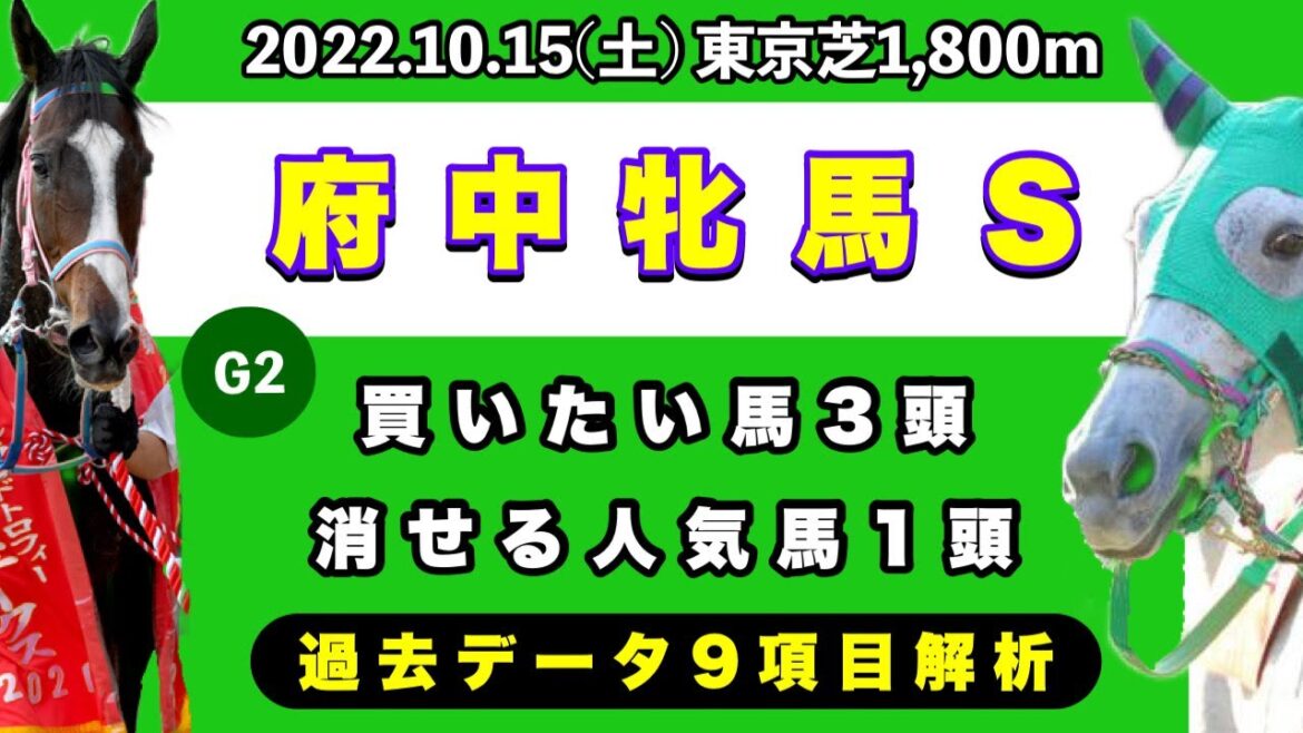 【府中牝馬ステークス2022】過去データ10項目解析!!買いたい馬3頭と消せる人気馬1頭について(競馬予想)