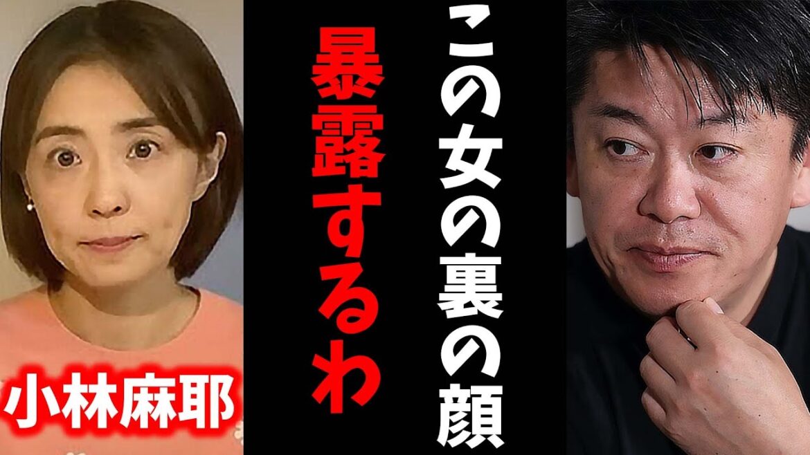 【ホリエモン】この女は裏で●●な事してます。洗脳にかかったふりをして実は全て演技です。【堀江貴文 小林麻耶 市川海老蔵 國光吟 切り抜き】