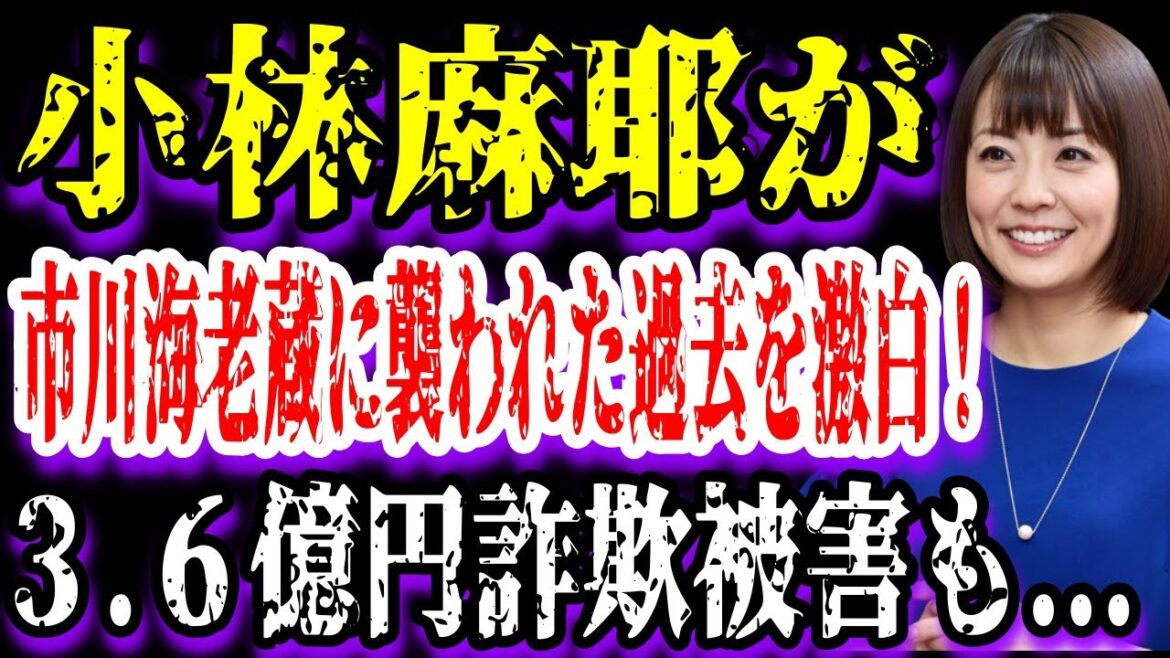 【ゆっくり解説】小林麻耶が市川海老蔵に襲われた過去を激白！３.６億円詐欺被害も...