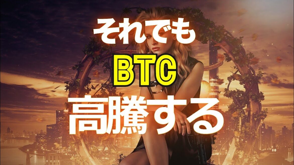 それでもビットコインは高騰する