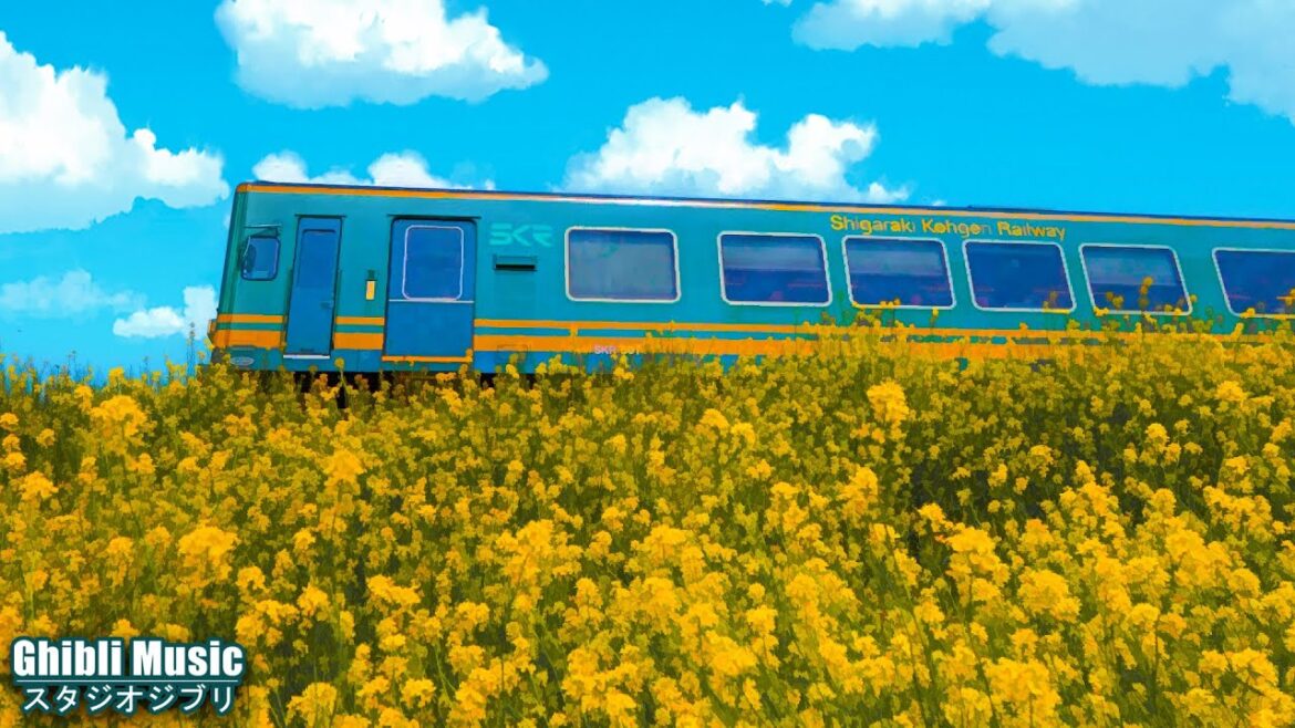 スタジオジブリ ❤️【Piano Studio Ghibli Music】 魔女の宅急便, 千と千尋の神隠し, ゲド戦記, もののけ姫, 崖の上のポニョ, となりのトトロ【作業用、勉強、睡眠用BGM】